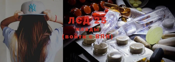 гашик Козловка