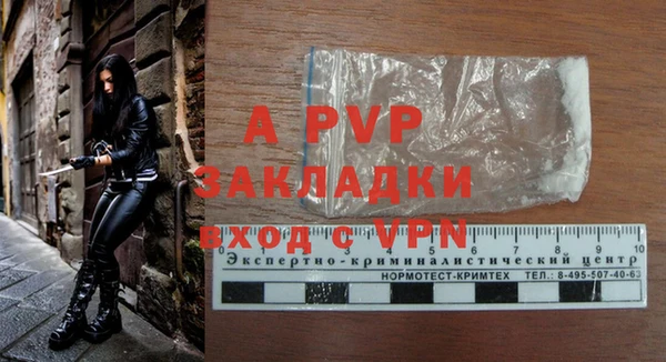гашик Козловка