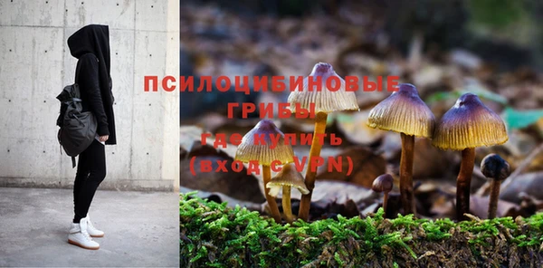 ALPHA PVP Киренск