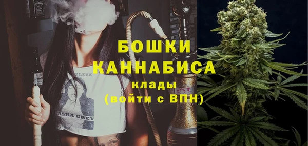 ALPHA PVP Кинешма