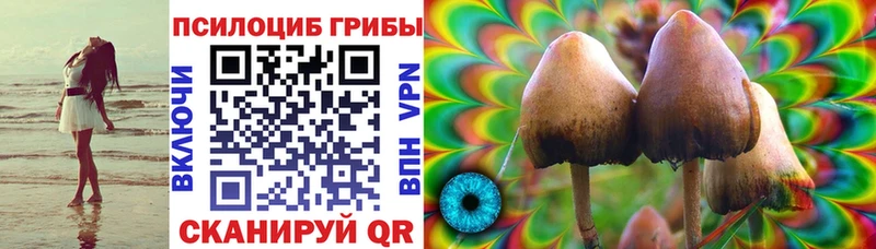 Купить где  Кропоткин  Галлюциногенные грибы Psilocybe 